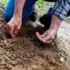 WOKAS Erde für Heidelbeere und Preiselbeere