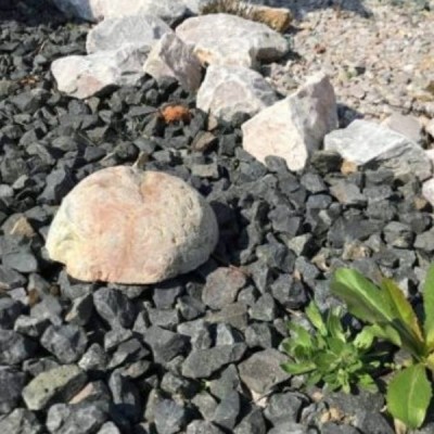 Stein geschnittener Granit Hälften