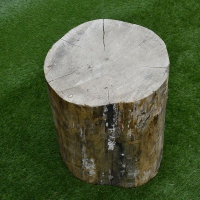 Stumpf - zum Spalten von Holz
