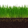Selbstverdichtendes Renovierung Gras