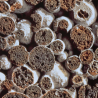 Liapor-Mix Static 1-4mm 16L
