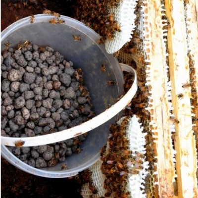 Blähton für Bienen 8-16mm